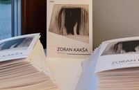 Zoran Kakša - Detalji